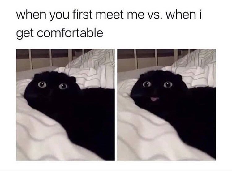 Thumbnail of b4zw-k8jlfv-7ef25ba4142f459d 0