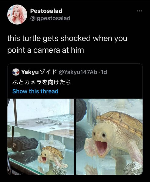 Thumbnail of p-ckm6cfjd3yu-7efeff459c444349 0