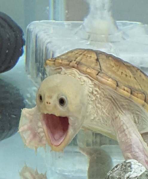 Thumbnail of p-ckm6cfjd3yu-7efeff459c444349 1