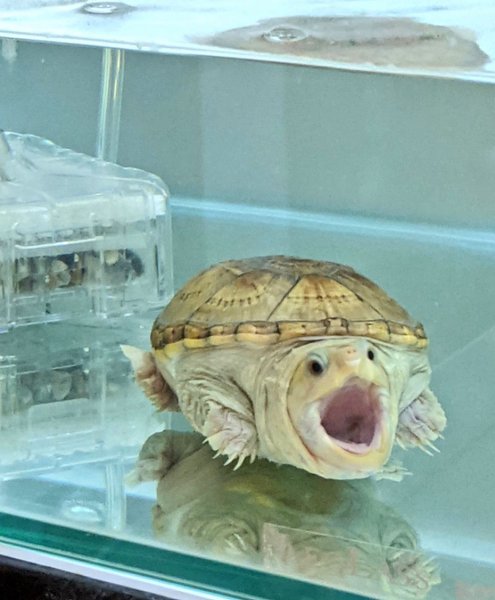 Thumbnail of p-ckm6cfjd3yu-7efeff459c444349 2