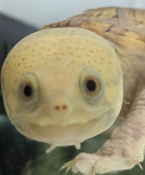 Thumbnail of p-ckm6cfjd3yu-7efeff459c444349 3