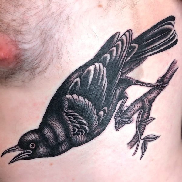 Thumbnail of p-casunlhhuy3-7f1da4e1d23d4f63 0