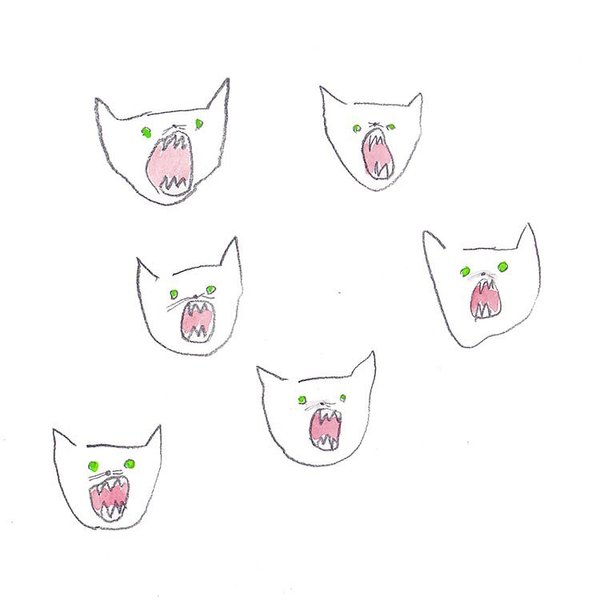 Thumbnail of p-czvt921vo6y-7f205b0370fc4168 0