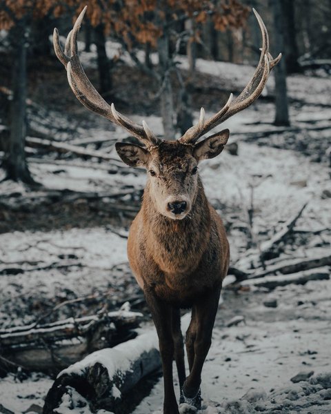 Thumbnail of p-cw6uhjer4kf-7f25e7b553e94b39 0