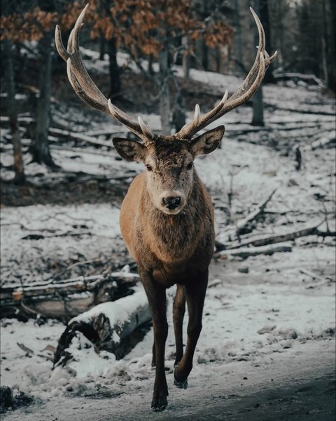 Thumbnail of p-cw6uhjer4kf-7f25e7b553e94b39 1