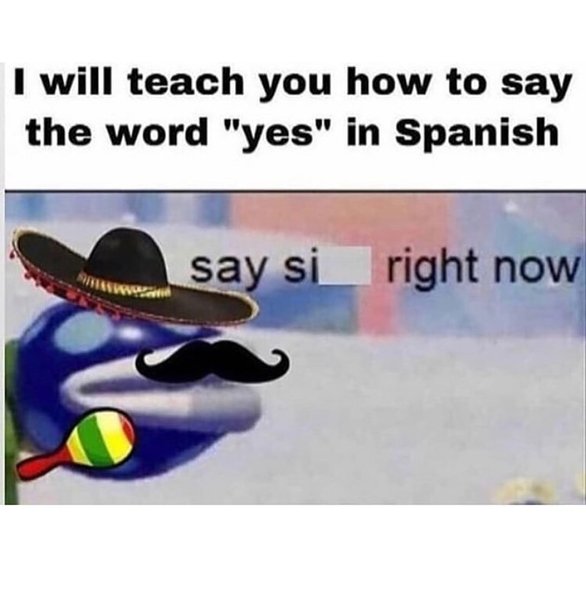 Thumbnail of p-b1pl01bhqf6-7f3f997a587c4537 0