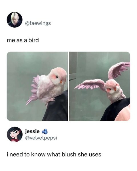 Thumbnail of p-dihfhwjgtlg-7f54a636c2564505 0