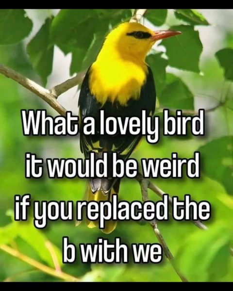 Thumbnail of c8petsajb-n-7f9e10ca18624f26 0