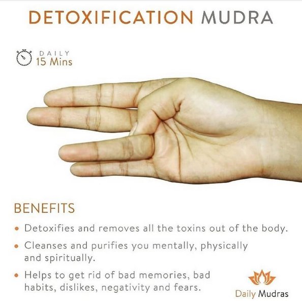 Thumbnail of p-cbfwgk0jdkr-7fb96dd385b44127 0