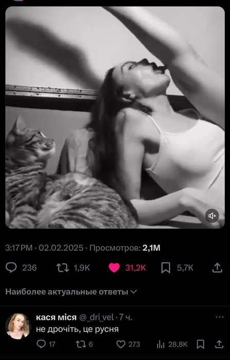 Thumbnail of www-x-com-geoolekom-status-1886253412016095268-7fd423c00b5d4553