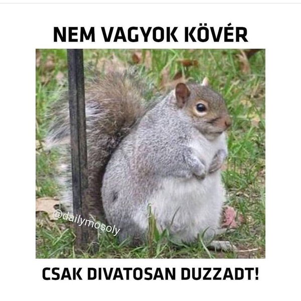 Thumbnail of p-behqi83lju8-802b4d29d00c4698 0