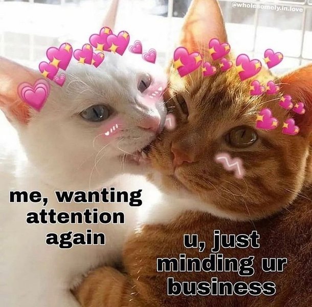 Thumbnail of p-cmonj2qk5ga-806ad29e3a0f4082 0