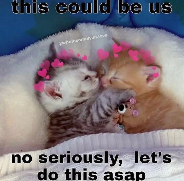 Thumbnail of p-cmonj2qk5ga-806ad29e3a0f4082 1