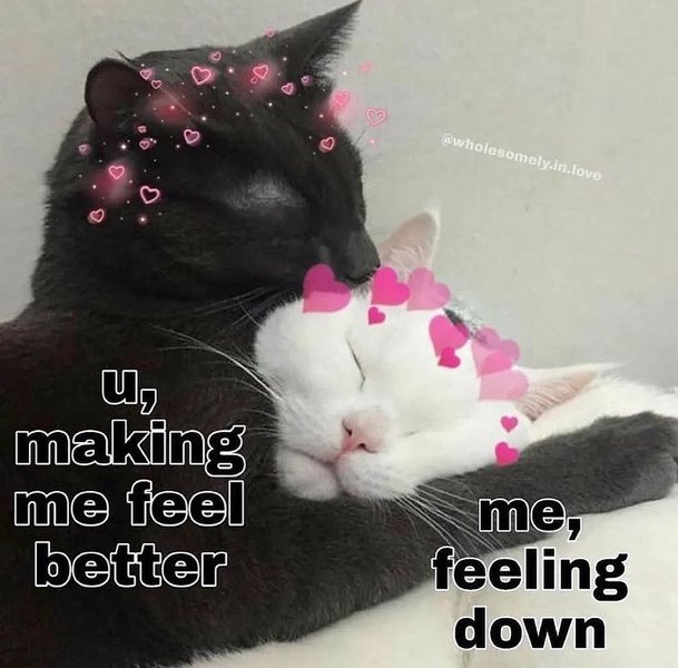 Thumbnail of p-cmonj2qk5ga-806ad29e3a0f4082 3