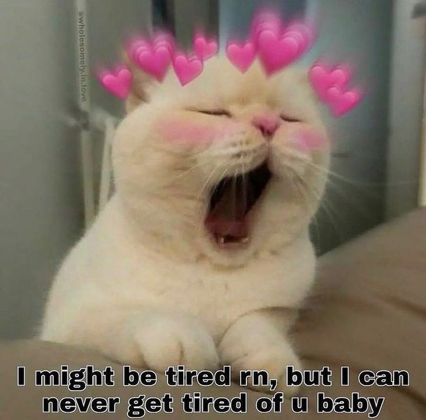 Thumbnail of p-cmonj2qk5ga-806ad29e3a0f4082 5