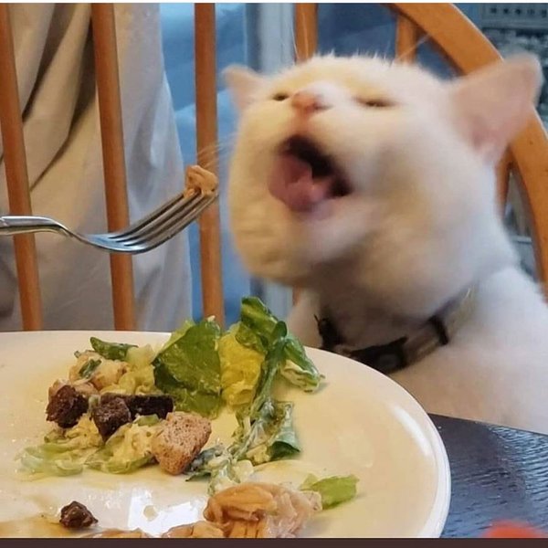 Thumbnail of p-b30nblihju-806b4e45067f4e63 1