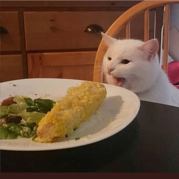 Thumbnail of p-b30nblihju-806b4e45067f4e63 2