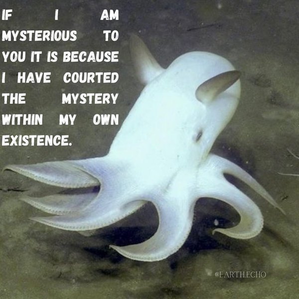 Thumbnail of cn-pybqoudr-80817dc3273f4451 7