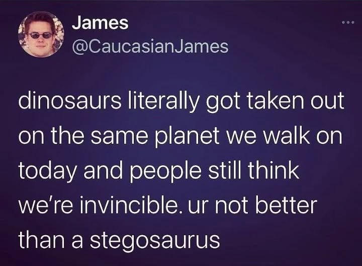 Thumbnail of p-ccyzxjcmkvw-80926747e7c54b7e 0