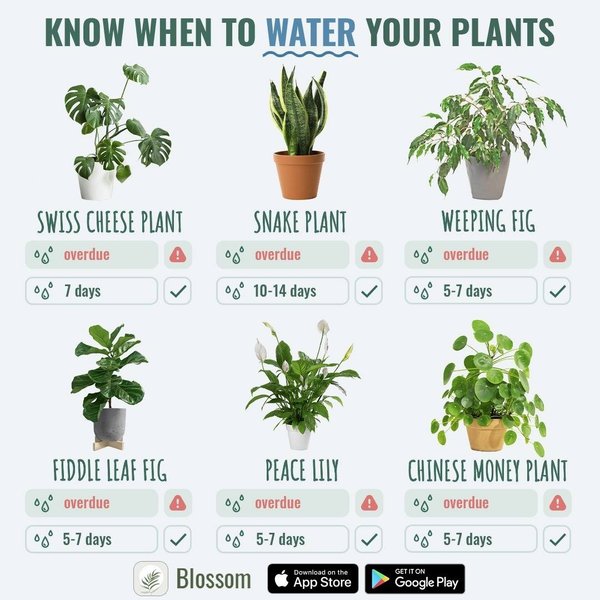 Thumbnail of p-cmac7zdd5xj-80ba80c3408448f6 0