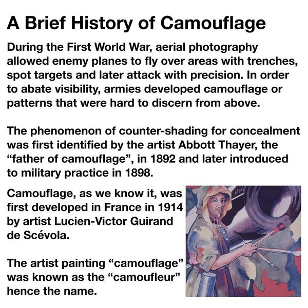 Thumbnail of c-bncp1xyn7-80bc0d7c483d4941 4