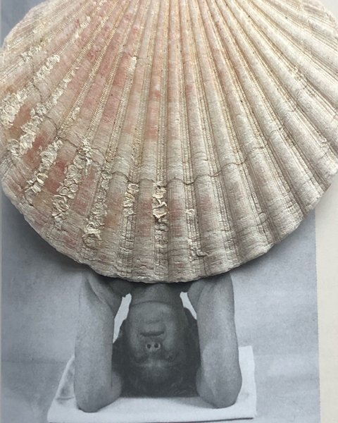 Thumbnail of p-dirsim1t55w-80c5a11aa1774db5 0