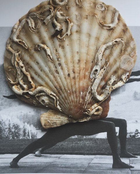 Thumbnail of p-dirsim1t55w-80c5a11aa1774db5 3