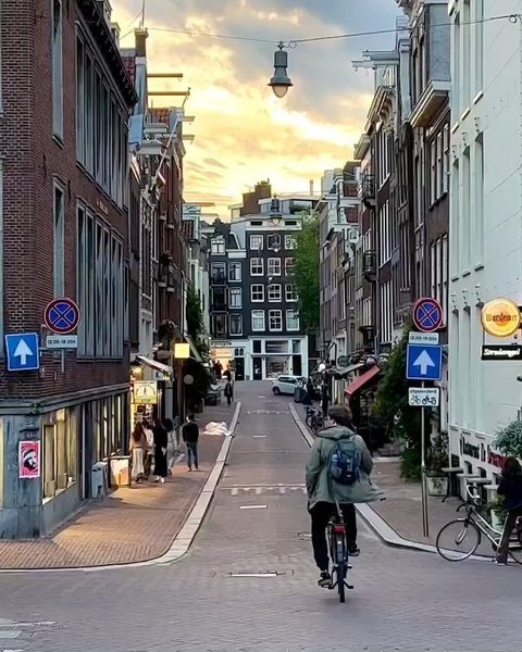 Thumbnail of p-cxqkitwiggz-80f59864936e4e34 2