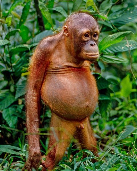 Thumbnail of p-bnzni1kdkgf-810134ba633e4197 0