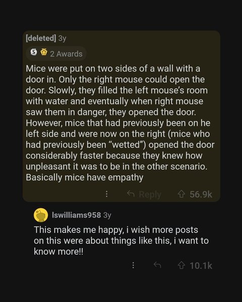 Thumbnail of p-ciuuiogmxil-8142c7c486a24b2a 1