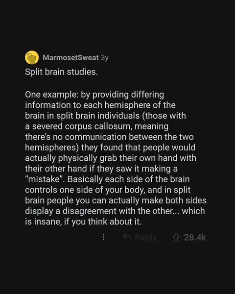 Thumbnail of p-ciuuiogmxil-8142c7c486a24b2a 6