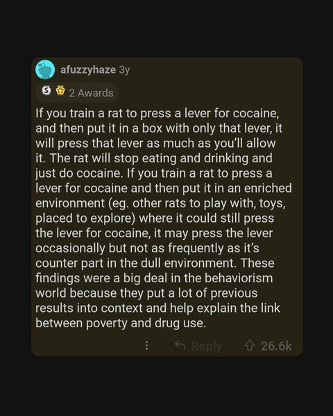 Thumbnail of p-ciuuiogmxil-8142c7c486a24b2a 7