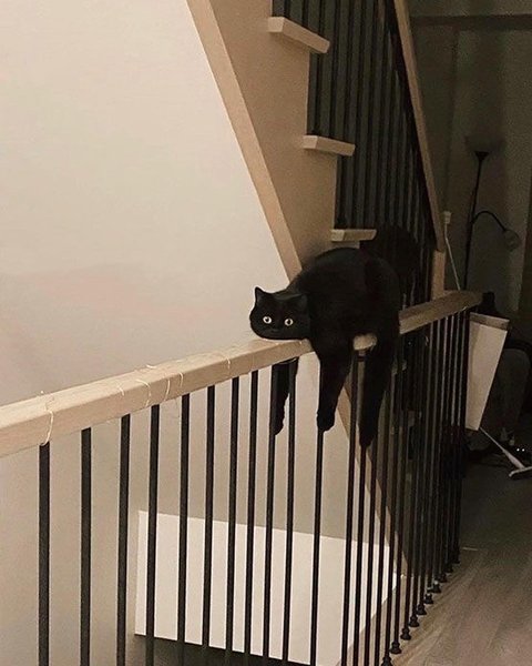 Thumbnail of p-crpqnb0y6c6-814a75750cbd4434 0