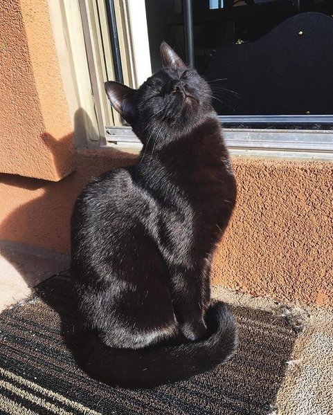 Thumbnail of p-crpqnb0y6c6-814a75750cbd4434 2