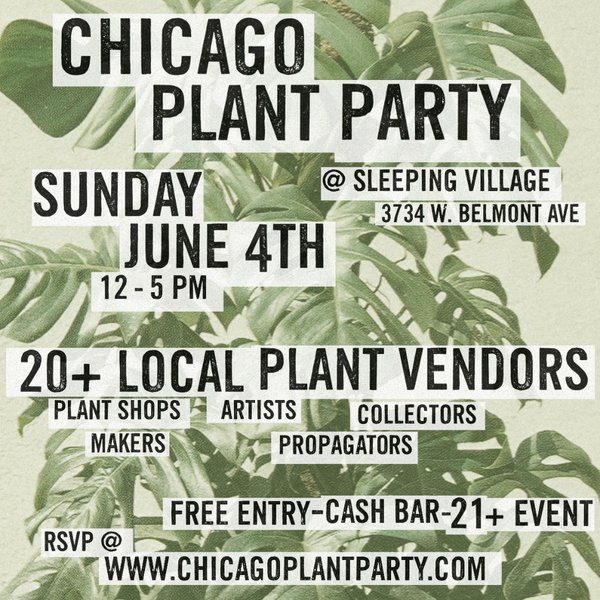 Thumbnail of p-cs4vpw2t7e9-818836120a2b43b3 0