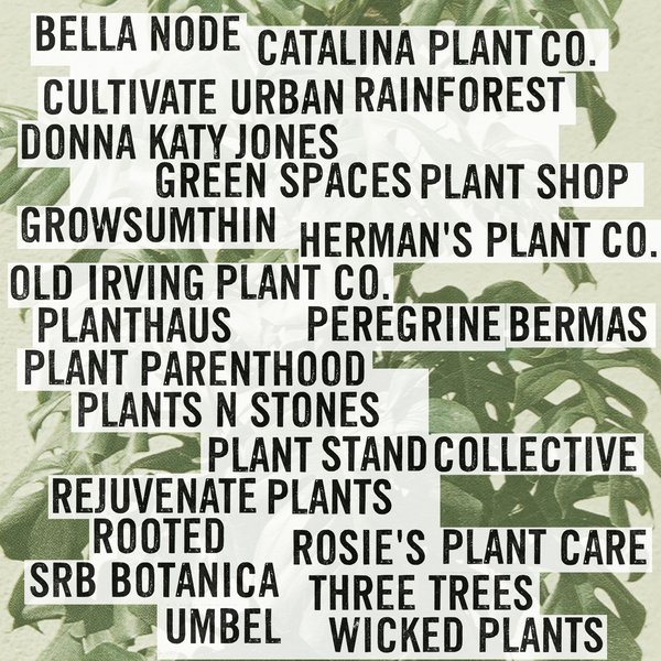 Thumbnail of p-cs4vpw2t7e9-818836120a2b43b3 8