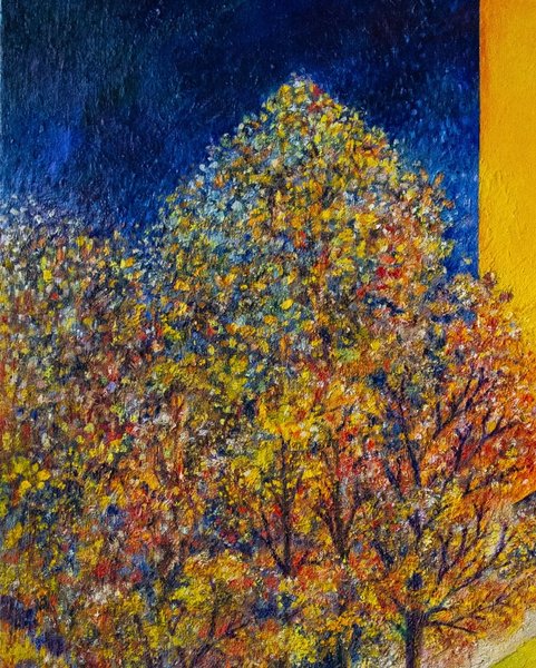 Thumbnail of p-dmfyagxzcgn-818bd4c6ca9c4455 2