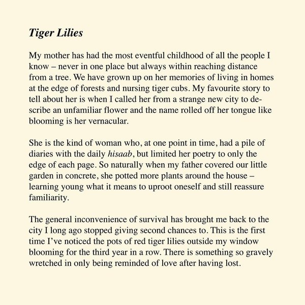 Thumbnail of b-kru9fpcys-81ab4f18b6ad48ec 1