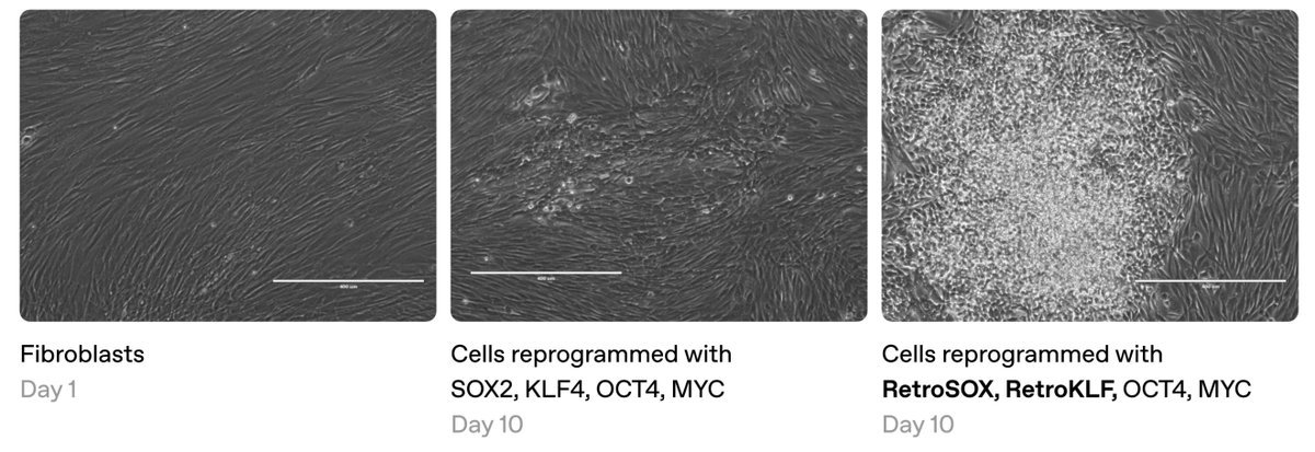 Thumbnail of www-x-com-ydeigin-status-1880612401390731323-81eeb6db84924d80