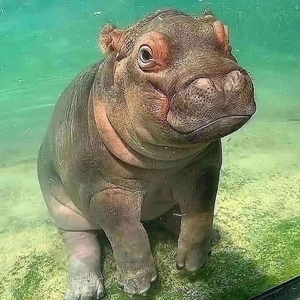 Thumbnail of p-daakdiuyvfm-821ce5f1c2da4f34 5