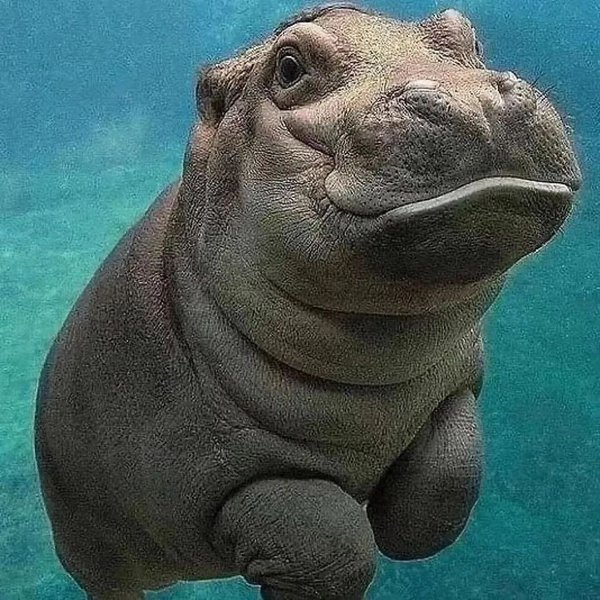 Thumbnail of p-daakdiuyvfm-821ce5f1c2da4f34 6