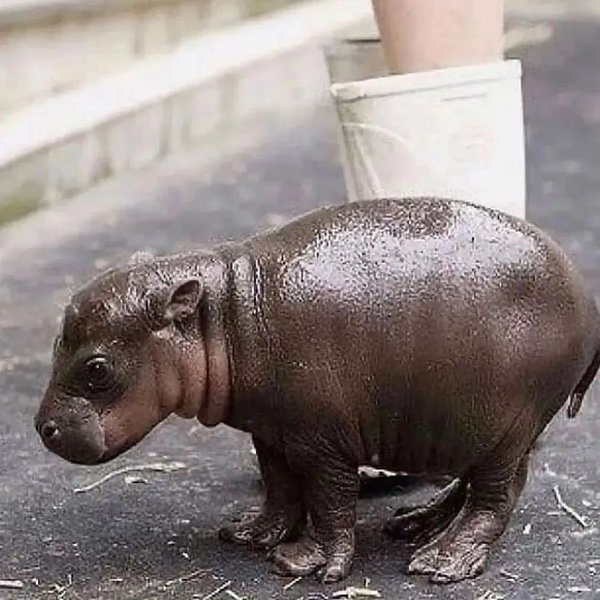 Thumbnail of p-daakdiuyvfm-821ce5f1c2da4f34 7