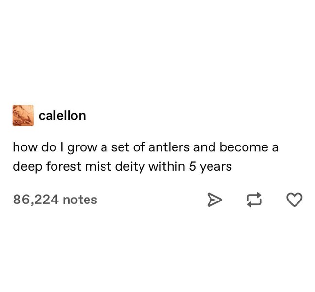 Thumbnail of p-cibhovcgnd4-823d19007bbd4b89 3