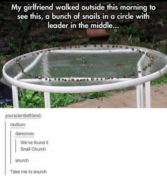 Thumbnail of p-b6bvd0uhwxd-8241fcbc672b499a 0