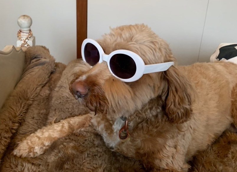 Thumbnail of p-b7rlnell7hn-824c040edd594458 1