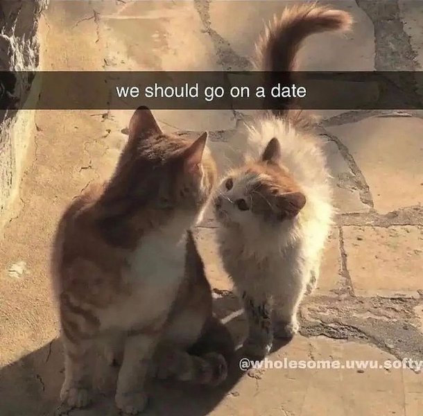 Thumbnail of p-cmpt0arkadg-825548ddfacd4b8b 0