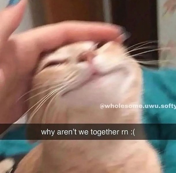 Thumbnail of p-cmpt0arkadg-825548ddfacd4b8b 1