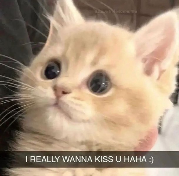 Thumbnail of p-cmpt0arkadg-825548ddfacd4b8b 2