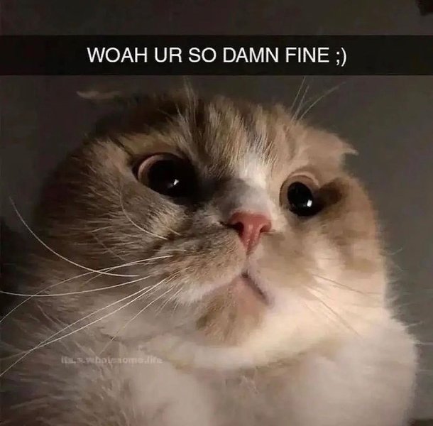 Thumbnail of p-cmpt0arkadg-825548ddfacd4b8b 3