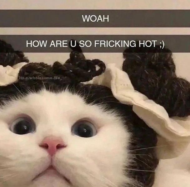 Thumbnail of p-cmpt0arkadg-825548ddfacd4b8b 4